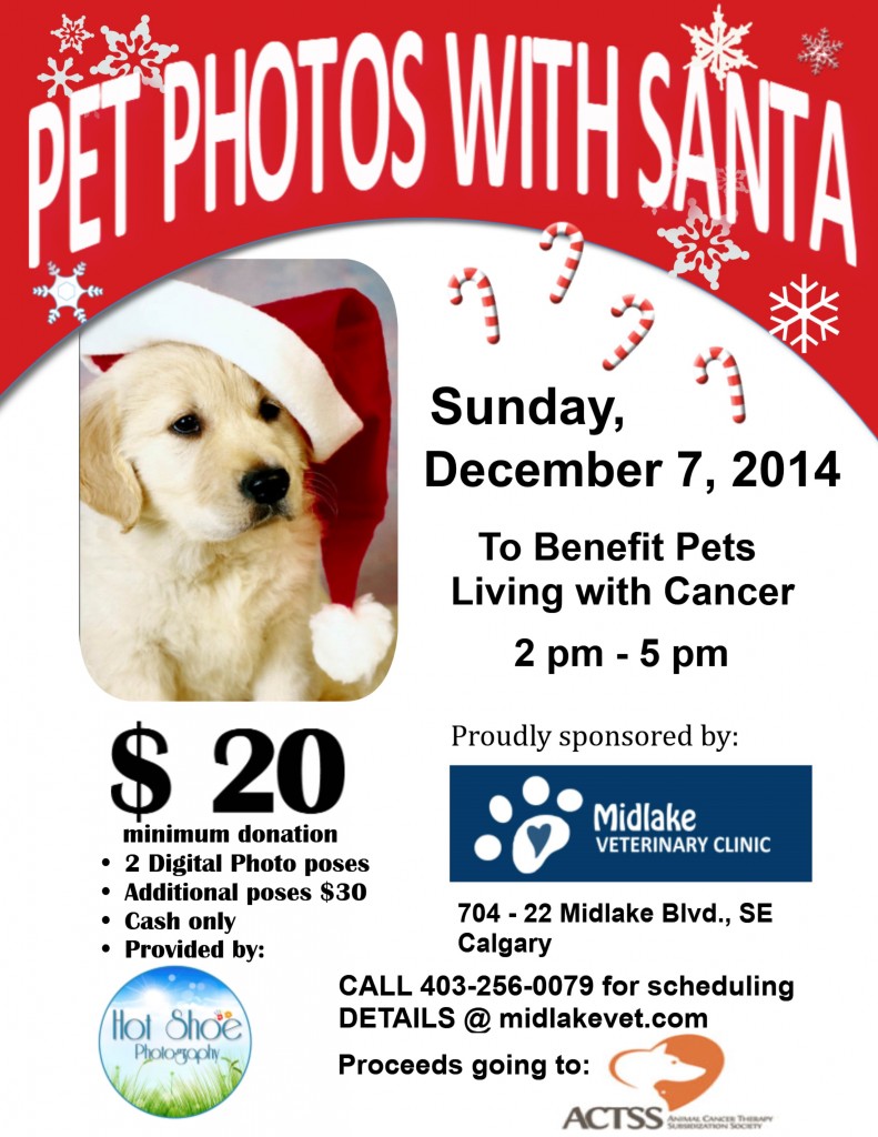 Pet Pics with Santa on Dec 7th Veterinarians Calgary Alberta Midlake Veterinary Clinic