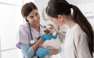 image for August is Immunization Awareness Month: Check Your Pet’s Immunization Record!